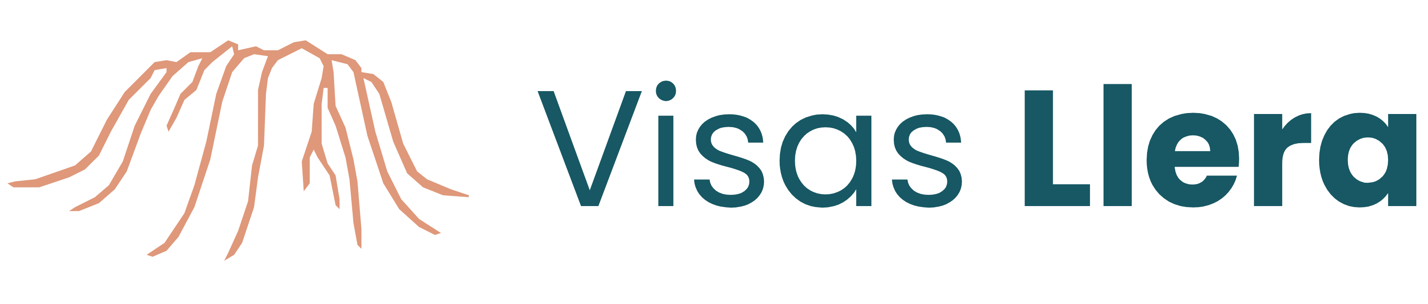 Visas Llera - Asesoría en Visas y Pasaportes